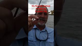 Why my favorite bottom fishing rig is a knocker rig [upl. by Yzzik]