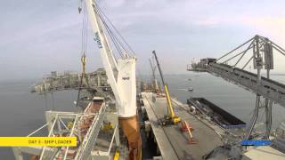 BigLifts Happy Diamond  Discharge of Intermediate Conveyor Shiploader and Tripper Car [upl. by Chane]