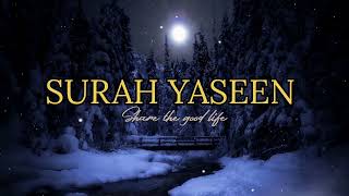 SURAH YASIN  Most beautiful Quran recitation in very Beautiful voice viral allah allahﷻ quran [upl. by Adnarom]