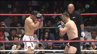 Mirko Cro Cop Filipović vs Satoshi Ishii 2014 [upl. by Evaleen721]