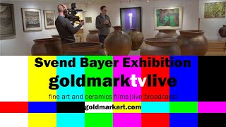 Svend Bayer Exhibition Live Stream [upl. by Filbert840]