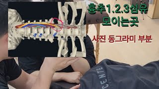 경장근 촉진longus colli palpation 및 도수운동manipulation motion 뒷목이 뻐근할때ㅡ》 경장근이 이완이 안되서 경추 신전근이 뭉친경우 [upl. by Asenab587]