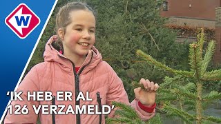 Fenna 8 zamelt met de hele familie zoveel mogelijk kerstbomen in [upl. by Katsuyama]