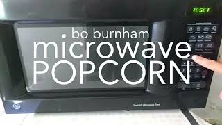 Bo Burnham  Microwave Popcorn Lyric Video [upl. by Asabi524]