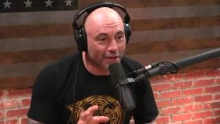 Joe Rogan on Life After Death [upl. by Audy867]