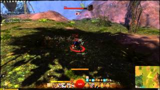 GW2 Empyreal Fragment Farm  Sparkfly Fen [upl. by Maire554]