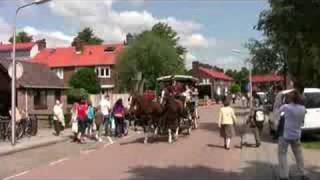 Paardenmarkt Alblasserdam 2008 [upl. by Hermia]