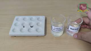 BINUS SCHOOL Serpong  Secondary Biology Department  Starch Test [upl. by Aitan]