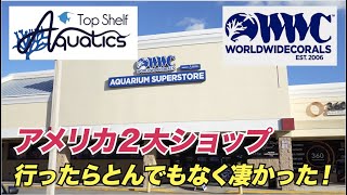 【現地でショップツアー】アメリカで３本の指に入るサンゴ界の人気ショップ“World Wide Coralsquotと“Top Shelf Aquatics”に潜入！行ってみたら想像以上にすごかった！ [upl. by King]