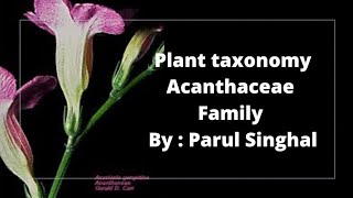 Acanthaceae Family  Acanthus Family   uptgtbiology By  Parul Singhal [upl. by Dasi]