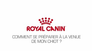 Comment se préparer à la venue de mon chiot [upl. by Acired]