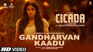 Gandharvan Kaadu Video Song  CICADA Movie  Sreejith Edavana  Navin Marar  Malayalam Latest Song [upl. by Mahmoud]