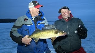 Late Ice GIANT Walleyes Sturgeon Bay [upl. by Dupuy]