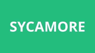 How To Pronounce Sycamore  Pronunciation Academy [upl. by Irtimed32]