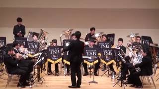 quotBrassed Off Fantasyquot  Brass Band TSB [upl. by Chastity]