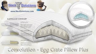 Egg Crate Plus Convolution Pillow [upl. by Asamot192]