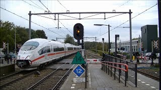 Spoorwegovergang DriebergenZeist  Dutch railroad crossing [upl. by Mackoff]