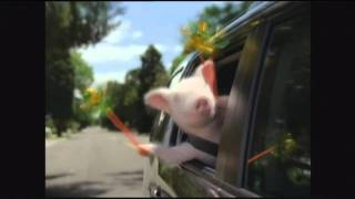 GEICO Commercial  Did the little piggy cry wee wee wee all the way home [upl. by Quennie836]