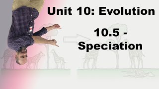 Honors Biology Unit 10  105  Speciation [upl. by Imarej648]