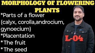 Morphology of flowering plants class11L04Parts of a flowerThe FruitThe SeedPlacentationShadab [upl. by Nnylesor]