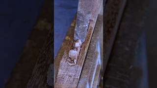 Quick Guide to Perfect Woodcuts Every Time woodcurving wood diywoodworking [upl. by Ramaj]