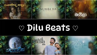 listen to DILU Beats Best Sinhala Songs Collection තනියම ඉන්න වෙලාවට අහන්න හොඳම සිංදු එකතුව 2024 New [upl. by Andros927]