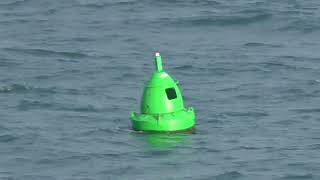 Green Can Buoy Knap Plymouth Sound Devon England 5th May 2024 [upl. by Meil]