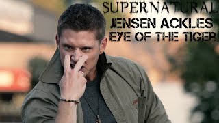 Jensen Ackles  “Eye of the Tiger” Supernatural [upl. by Anyr836]