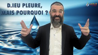 DIEU pleure mais pourquoi   45  LIVRE NÉFECH HAHAIM  RAV NAKACHE [upl. by Lebanna730]