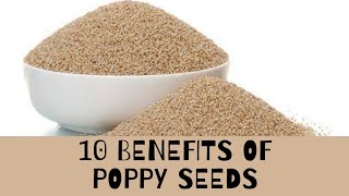 10 Benefits Of Poppy Seeds [upl. by Trellas2]