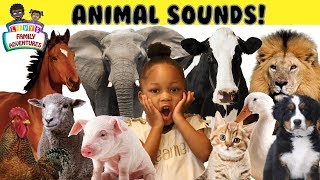 Learn Zoo animals names for kids  Educational video for children [upl. by Lonni686]