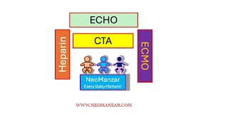 CTA Fluoroscopy ECHO Heparin ECMO Peds [upl. by Rubbico]