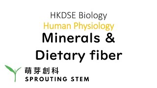 Ch6 Lesson 3  Minerals amp dietary fiber  HKDSE Biology  Sprouting Classroom [upl. by Gretta]