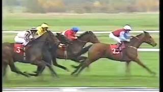 1994 Tote Credit November Handicap [upl. by Yhtak271]