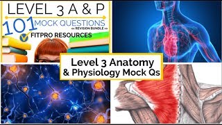 Level 3 Anatomy and Physiology Mock Questions [upl. by Hilar]