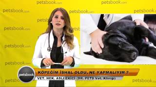 Köpeğim ishal oldu ne yapmalıyım [upl. by Phineas]