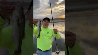 California aqueduct bass fishing largemouthbass bassfishing fishingboyzoutlawz [upl. by Ellersick]