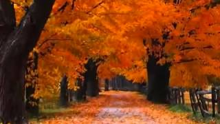 Jose Luis Perales  Cancion de otoño [upl. by Jurgen]