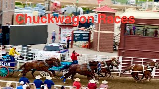 Chuckwagon races Calgary Stampede 2024 Day 2 stampede calgary chuckwagongang cowboys [upl. by Nnairek]