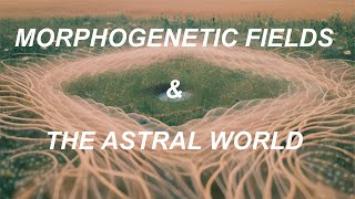 Morphogenetic Fields amp The Astral World [upl. by Vannie]