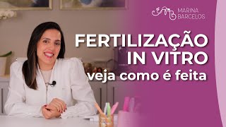 Fertilização In Vitro Veja como é feita [upl. by Ahsuatal864]