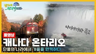 걸어서세계속으로Full📺 아름답게 물든 단풍으로 힐링할 수 있는 곳 캐나다 온타리오 여행 Trip to Canada KBS20191123 [upl. by Akir935]