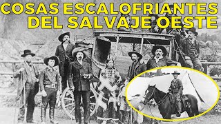 COMO ES VIVIR EN FLORIDA Las VENTAJAS y DESVENTAJAS de la vida en FLORIDA los Estados Unidos [upl. by Ansev]