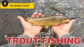 MAINE SPRING FISHING 2024 flyfishing for brookies and browns [upl. by Elleirad284]