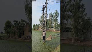 Electrical Lineman  ytshorts lineman electrical [upl. by Tacita]