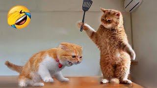 Funniest Animals 😄 New Funny Cats and Dogs Videos 😹🐶 Part 8 [upl. by Ahsietal115]