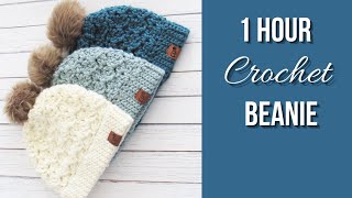 1 Hour Crochet Beanie Easy Pattern [upl. by Pieter154]