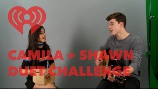 Shawn Mendes amp Camila Cabello Duet  Mashup Songs  Artist Challenge [upl. by Titania]