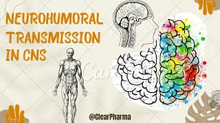 Neurohumoral transmission in the CNS  special emphasis on importance of various neurotransmitters [upl. by Ettezil669]