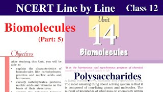 Polysaccharides Biomolecules Class 12 Chemistry  Starch  Cellulose  Glycogen  ncert chemistry [upl. by Lantz]